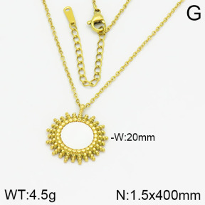 Stainless Steel Necklace  2N3000831vbpb-478