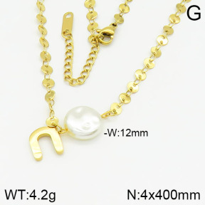 Stainless Steel Necklace  2N3000833vhha-478