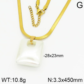 Stainless Steel Necklace  2N3000840bvpl-690