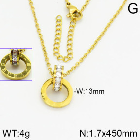 Stainless Steel Necklace  2N4001320vbnl-690