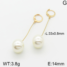 Stainless Steel Earrings  5E3000565aajl-698