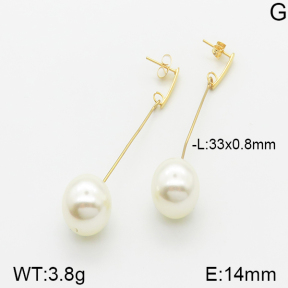 Stainless Steel Earrings  5E3000567aajl-698