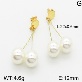 Stainless Steel Earrings  5E3000568aajo-698