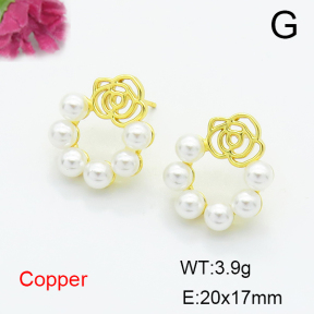 Fashion Copper Earrings  F6E301656ablb-L024