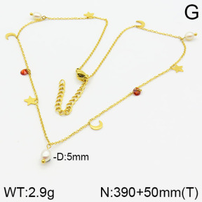 Stainless Steel Necklace  2N3000867bbov-749
