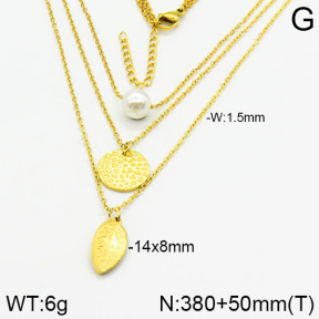 Stainless Steel Necklace  2N3000885bbov-749