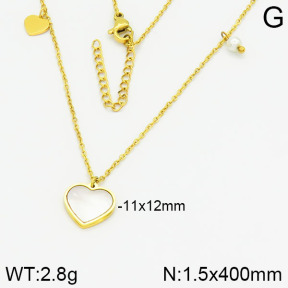 Stainless Steel Necklace  2N4001344vbnb-749