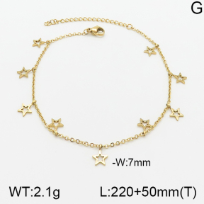 Stainless Steel Anklets  5A9000610vbll-418