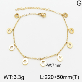 Stainless Steel Anklets  5A9000612vbll-418