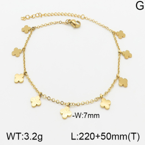 Stainless Steel Anklets  5A9000614vbll-418