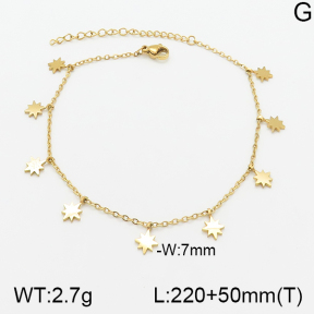Stainless Steel Anklets  5A9000615vbll-418