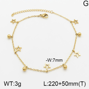 Stainless Steel Anklets  5A9000626vbll-418
