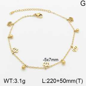 Stainless Steel Anklets  5A9000627vbll-418