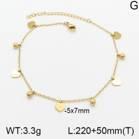 Stainless Steel Anklets  5A9000633vbll-418