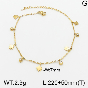 Stainless Steel Anklets  5A9000637vbll-418
