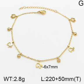 Stainless Steel Anklets  5A9000639vbll-418