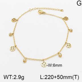 Stainless Steel Anklets  5A9000640vbll-418