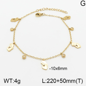 Stainless Steel Anklets  5A9000642vbll-418
