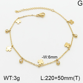 Stainless Steel Anklets  5A9000646vbll-418
