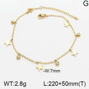 Stainless Steel Anklets  5A9000650vbll-418