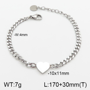 Stainless Steel Bracelet  5B2001454ablb-418