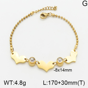 Stainless Steel Bracelet  5B4001487ablb-418