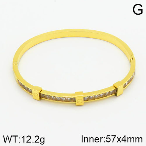 SS Bangles  TZ2000166vhnv-669