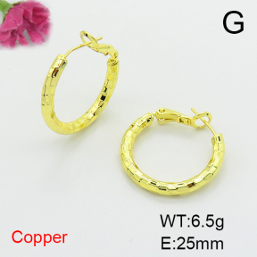 Fashion Copper Earrings  F6E200252vbmb-L017