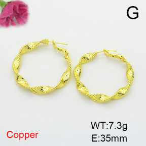Fashion Copper Earrings  F6E200253vbmb-L017