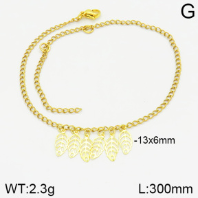 Stainless Steel Anklets  2A9000751vbnb-226