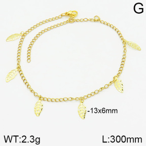 Stainless Steel Anklets  2A9000754vbnb-226