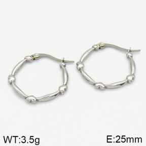 Stainless Steel Earrings  2E2001330vbnb-259
