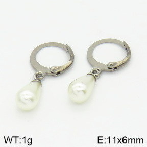 Stainless Steel Earrings  2E3001001vbmb-226