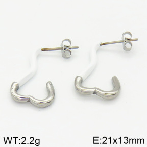 Stainless Steel Earrings  2E3001005bbov-259