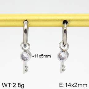 Stainless Steel Earrings  2E4001769vbnb-259
