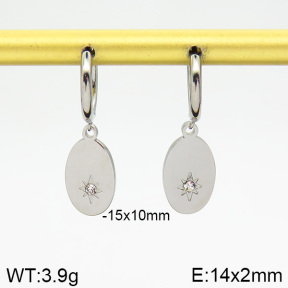 Stainless Steel Earrings  2E4001771vbmb-259
