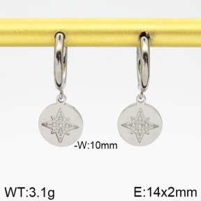 Stainless Steel Earrings  2E4001775bbov-259