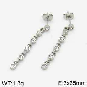 Stainless Steel Earrings  2E4001781vbnb-259