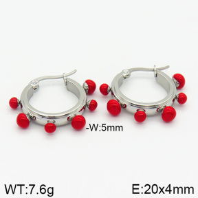 Stainless Steel Earrings  2E4001783bhva-259