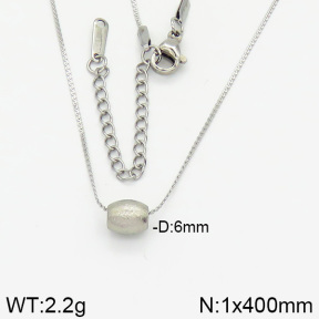 Stainless Steel Necklace  2N2002032vaia-413