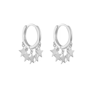 925 Silver Earrings  WT:1.89g  17.2*12.5mm  JE3303aijp-Y28