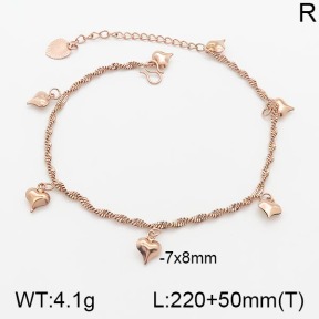 Stainless Steel Anklets  5A9000652bhva-201