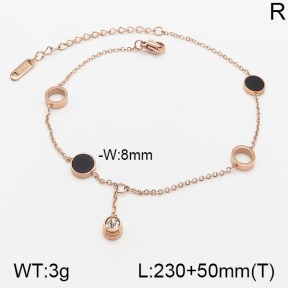 Stainless Steel Anklets  5A9000659vhha-201