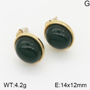 Stainless Steel Earrings  5E4001363vhha-669