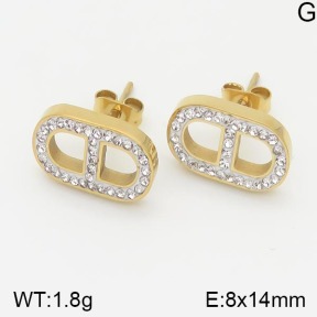 Stainless Steel Earrings  5E4001369bhva-669