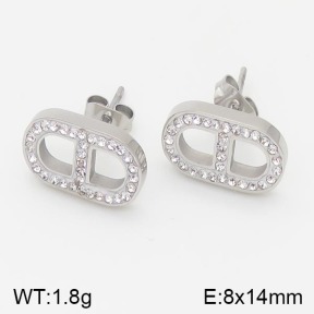 Stainless Steel Earrings  5E4001370bhva-669