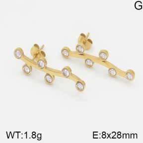 Stainless Steel Earrings  5E4001374vhha-669