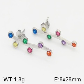Stainless Steel Earrings  5E4001375vhha-669