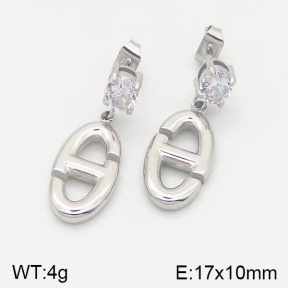Stainless Steel Earrings  5E4001378vhha-669