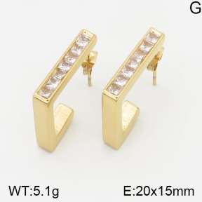 Stainless Steel Earrings  5E4001384vhha-669